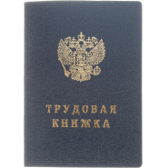 Бланк Трудовая книжка (новый 2023г) Бланк Трудовая книжка (новый 2023г)